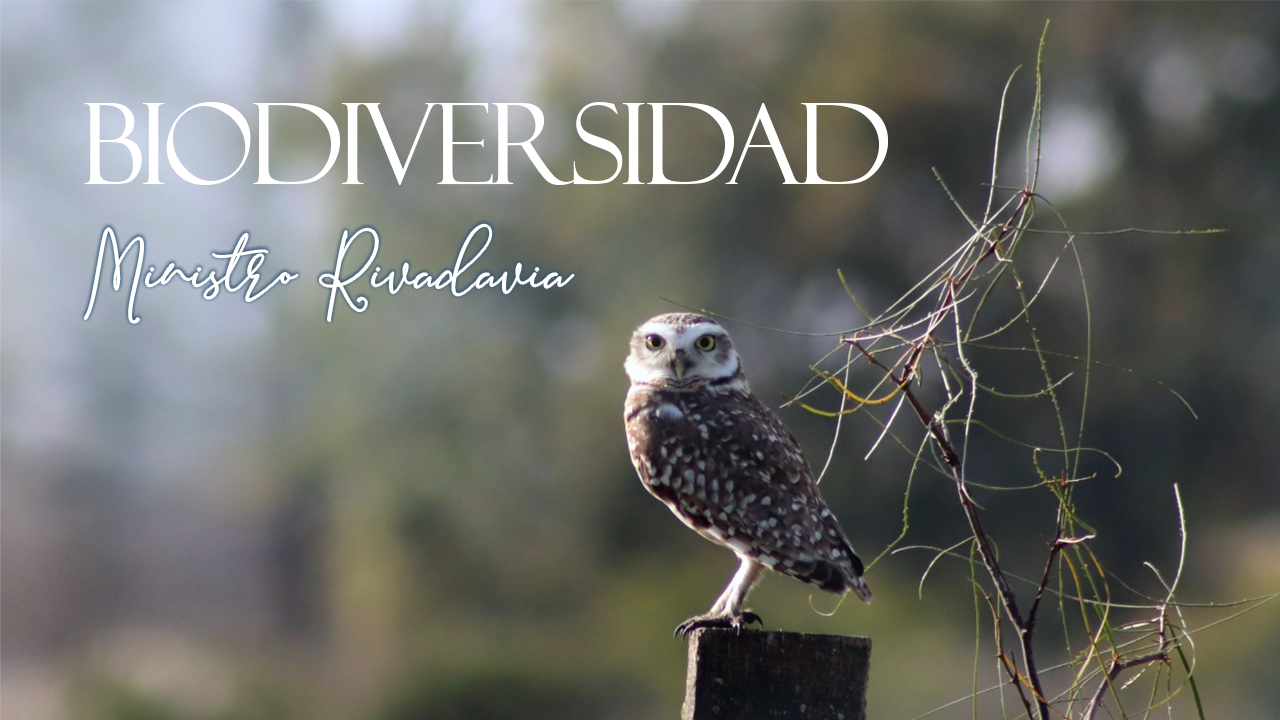 Biodiversidad. Ministro Rivadavia